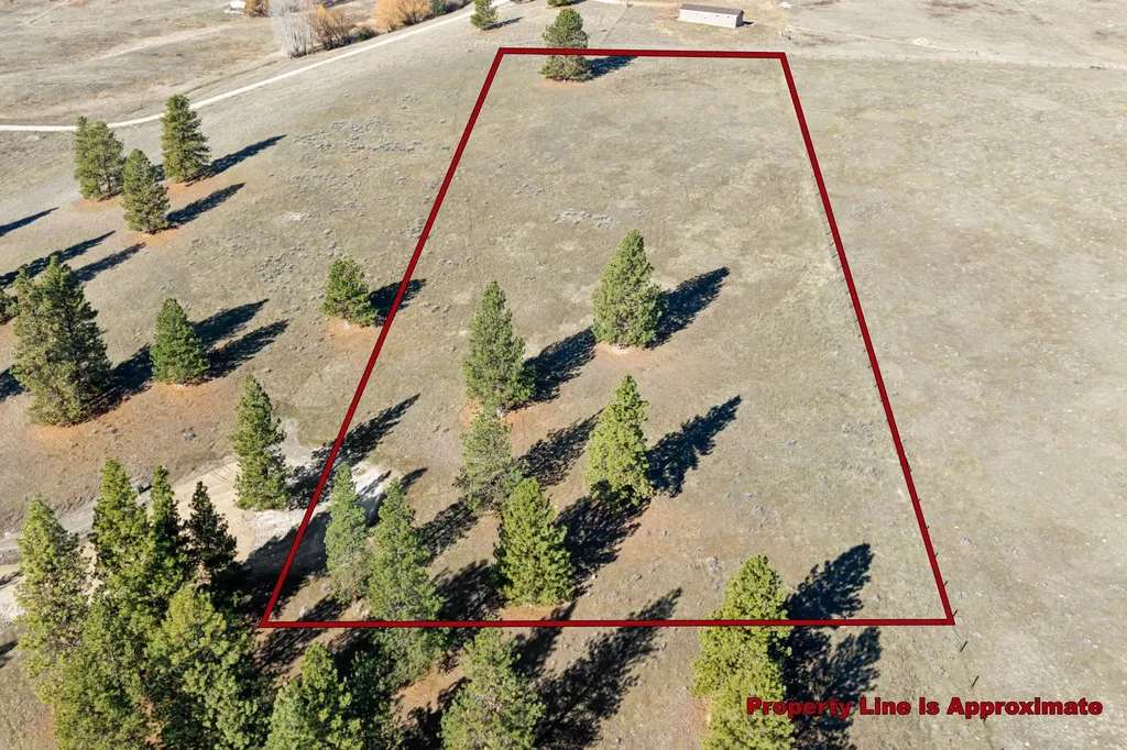 535 Sadie Way Victor MT 59875