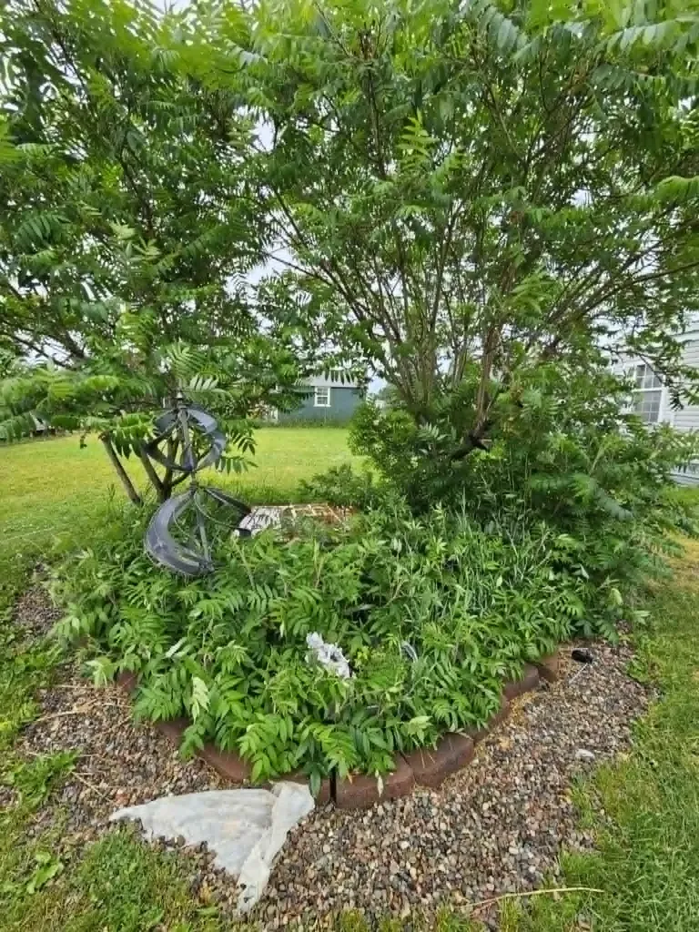 4628 Bailey Street Missoula MT 59808