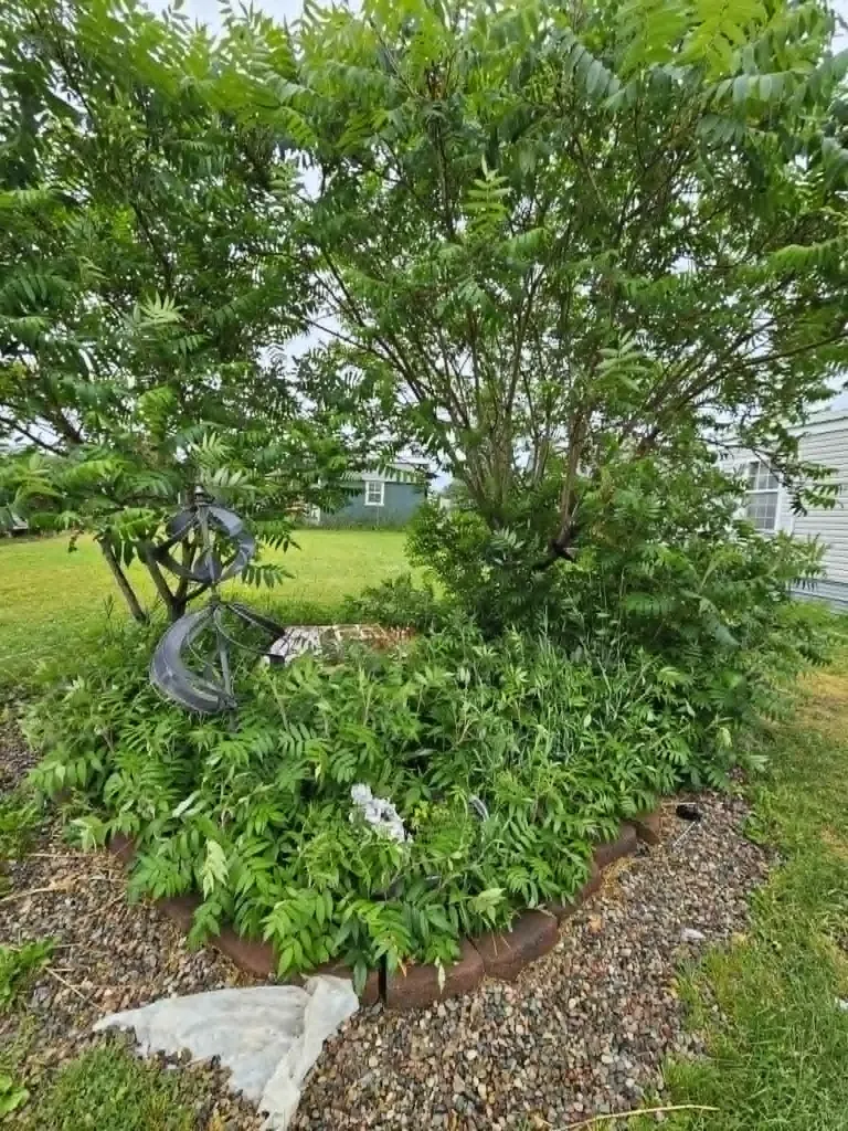 4628 Bailey Street Missoula MT 59808