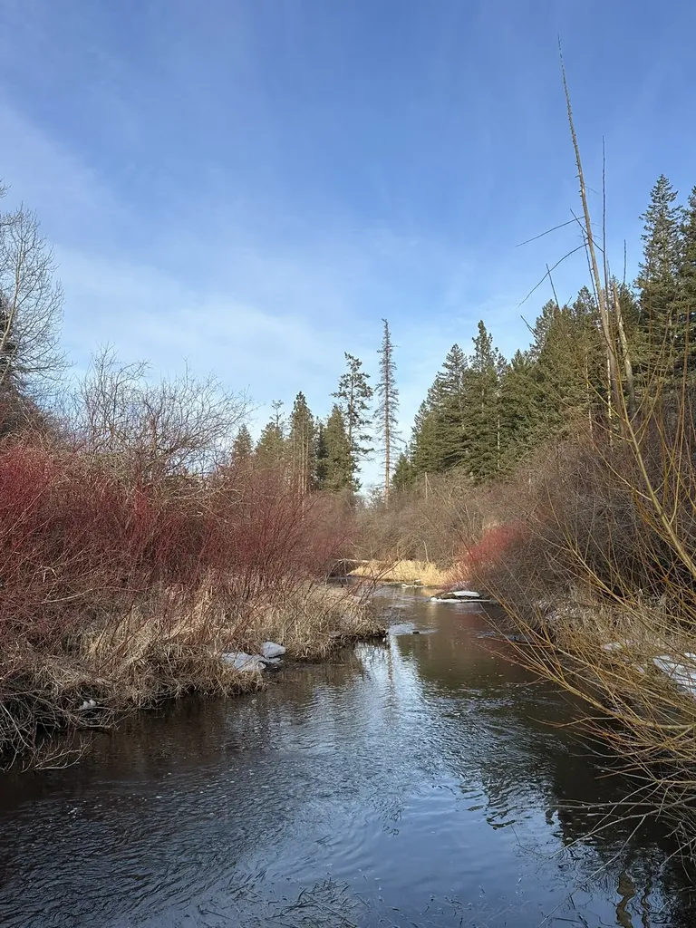 80 Windsong Way Kalispell MT 59901