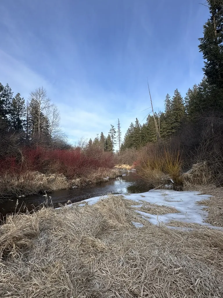80 Windsong Way Kalispell MT 59901