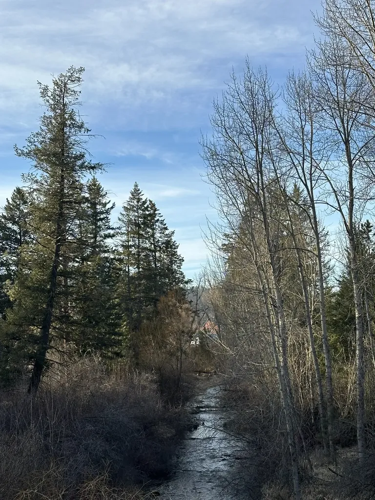 80 Windsong Way Kalispell MT 59901