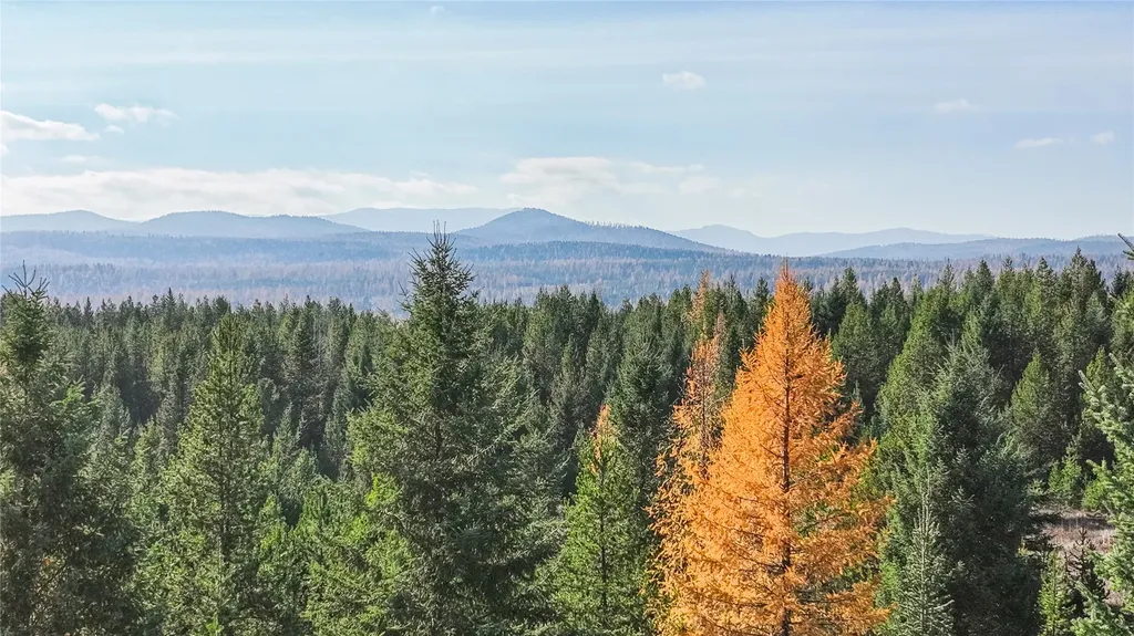 226 Lupfer Road Whitefish MT 59937