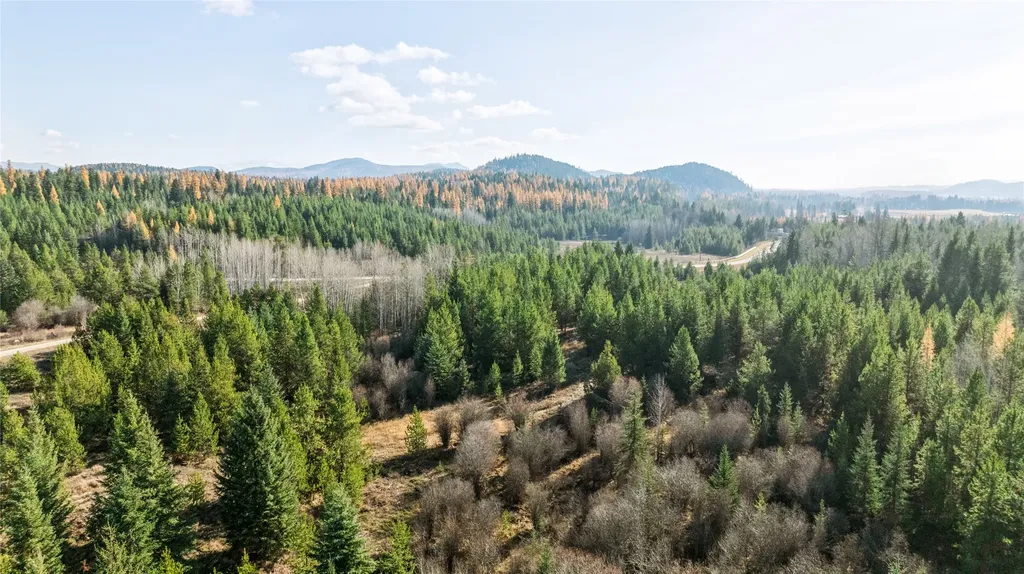 226 Lupfer Road Whitefish MT 59937