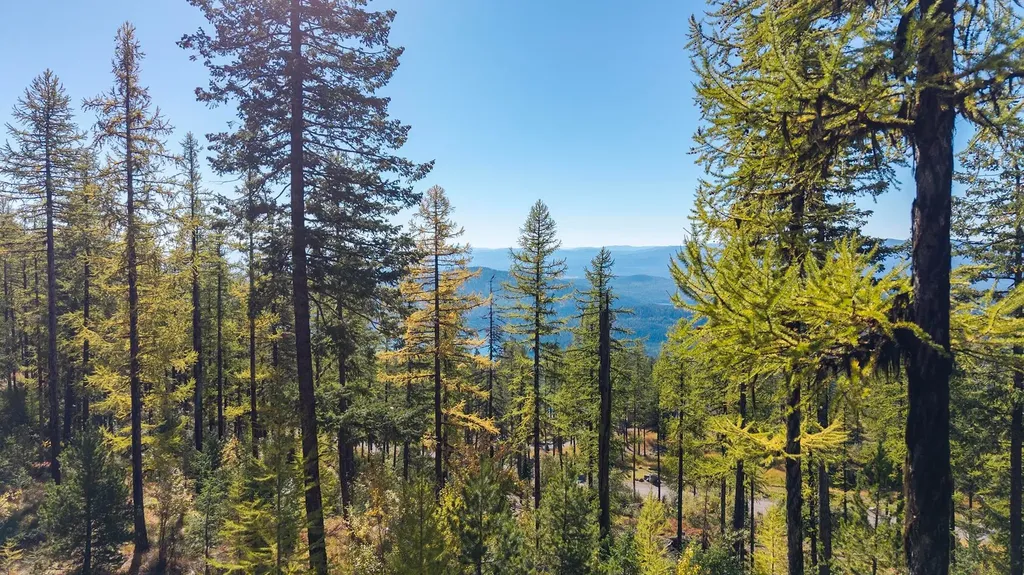 485 Elk Highlands Drive Whitefish MT 59937