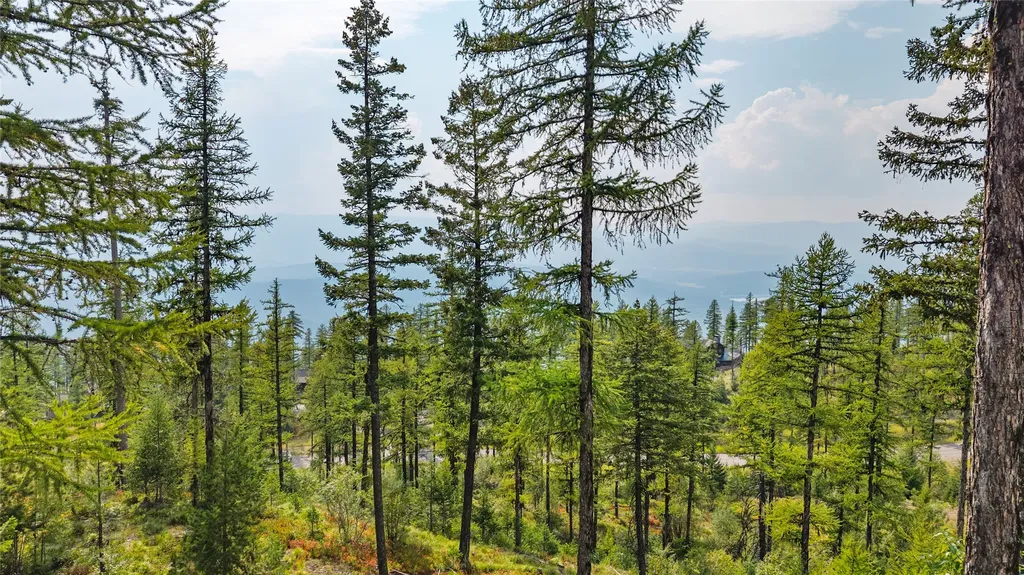 485 Elk Highlands Drive Whitefish MT 59937