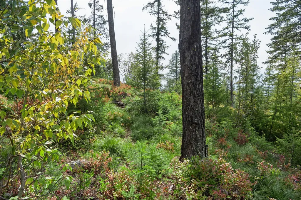 485 Elk Highlands Drive Whitefish MT 59937