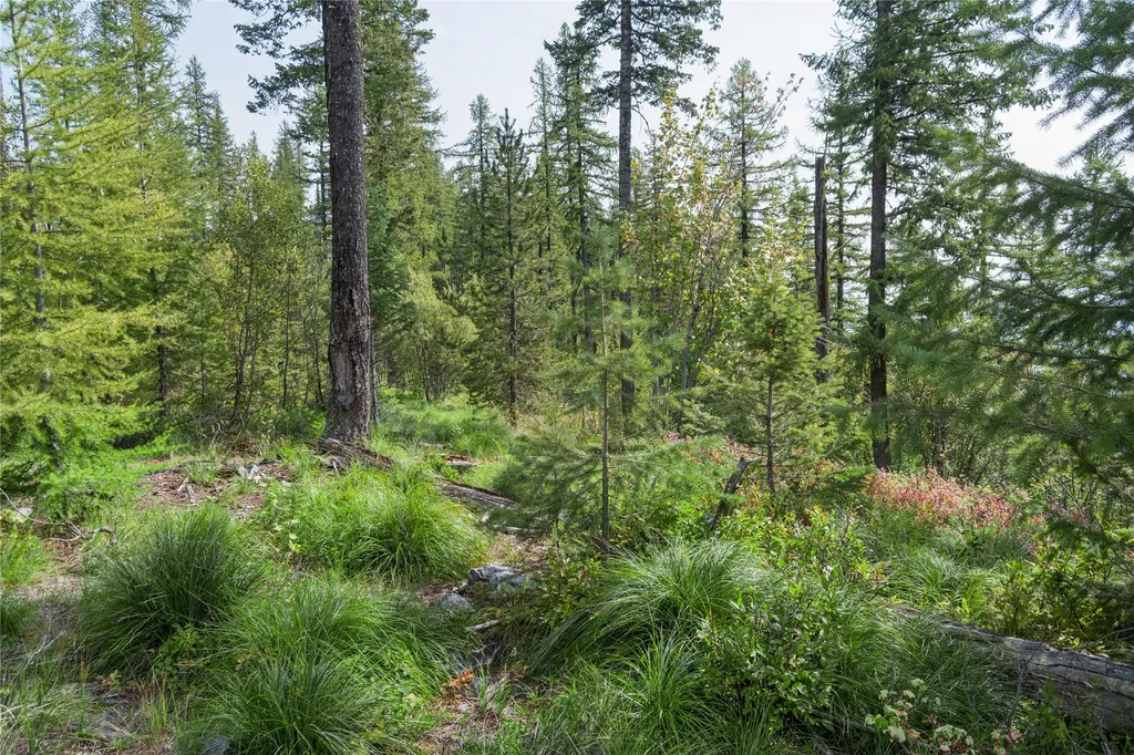 485 Elk Highlands Drive Whitefish MT 59937