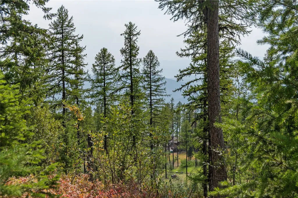 485 Elk Highlands Drive Whitefish MT 59937
