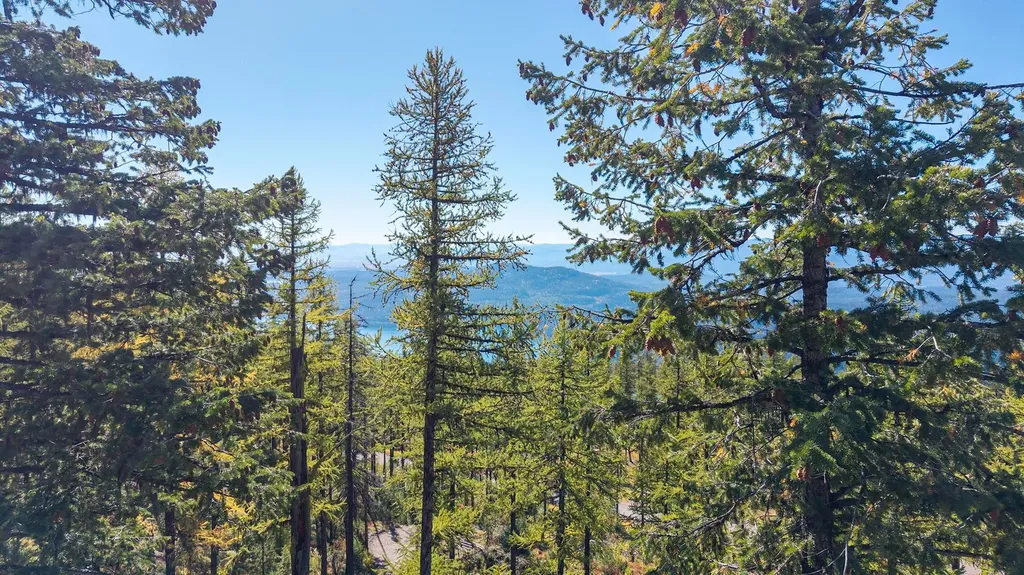 485 Elk Highlands Drive Whitefish MT 59937