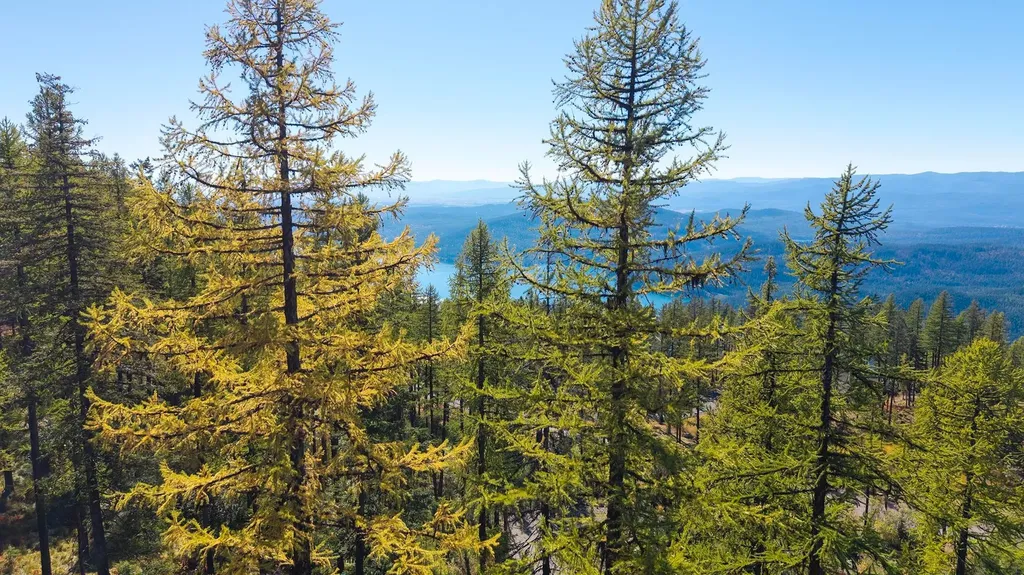 485 Elk Highlands Drive Whitefish MT 59937