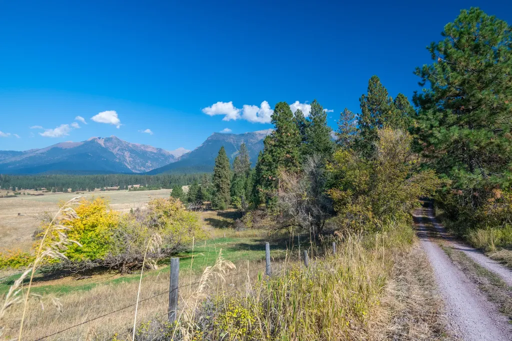 38712 Saint Marys Lake Road St Ignatius MT 59865