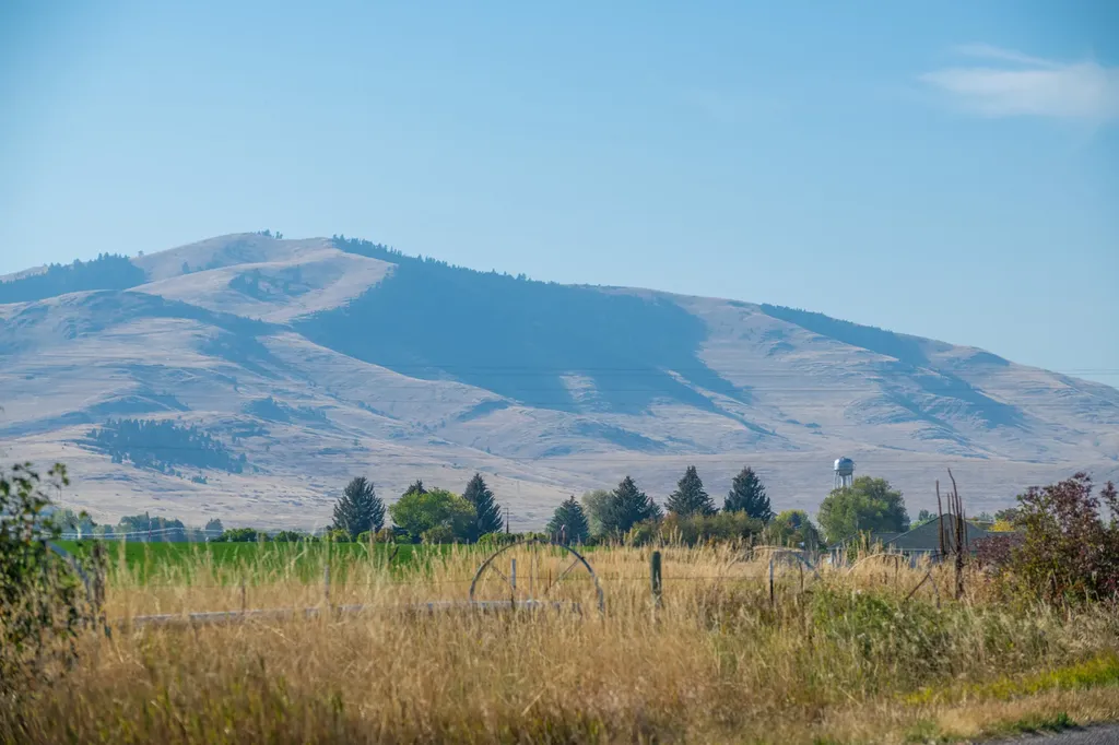 38712 Saint Marys Lake Road St Ignatius MT 59865