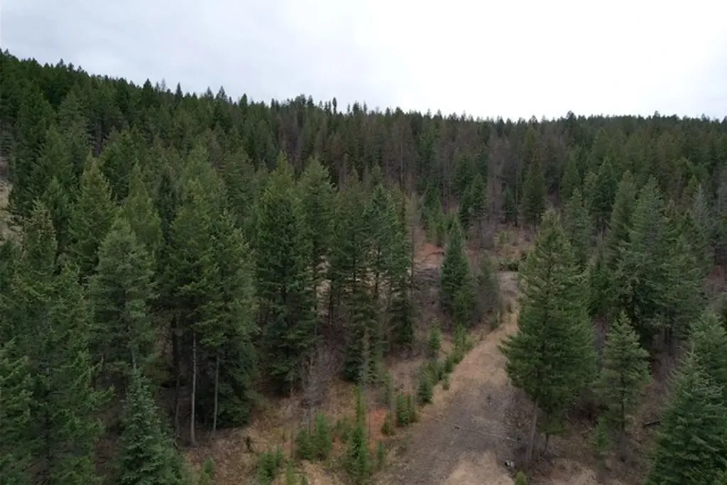Tbd Bent Pine Lane Kila MT 59920