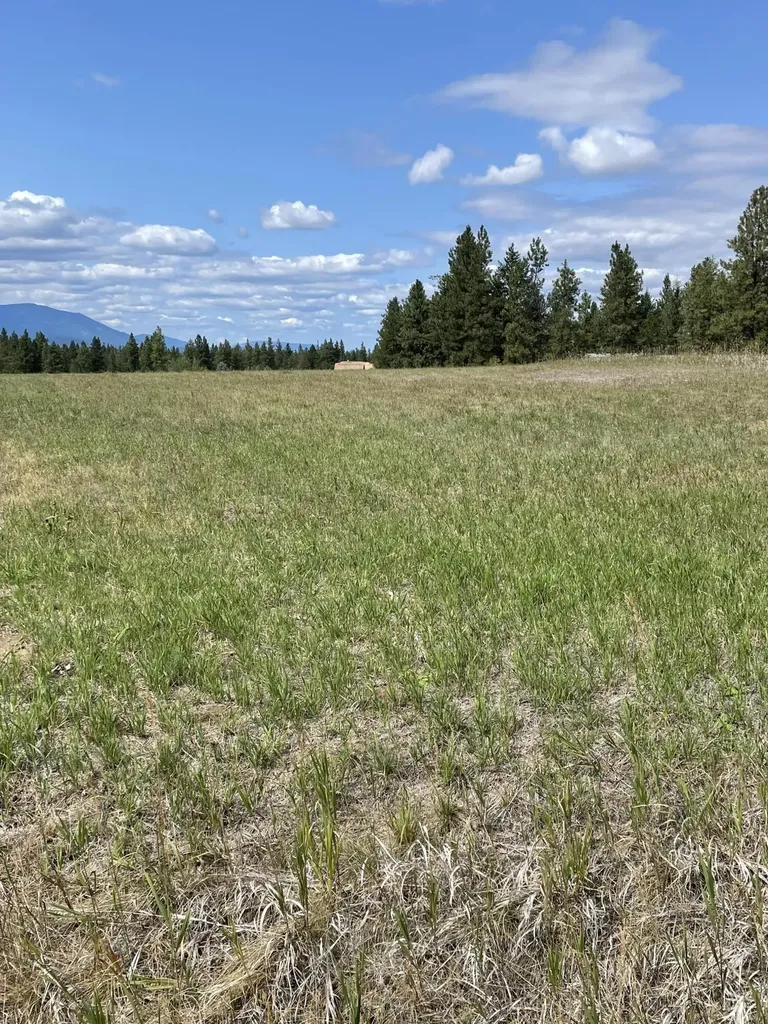 286 Wilderness Club Drive Eureka MT 59917