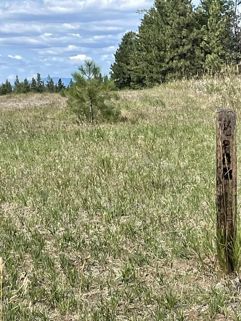 286 Wilderness Club Drive Eureka MT 59917