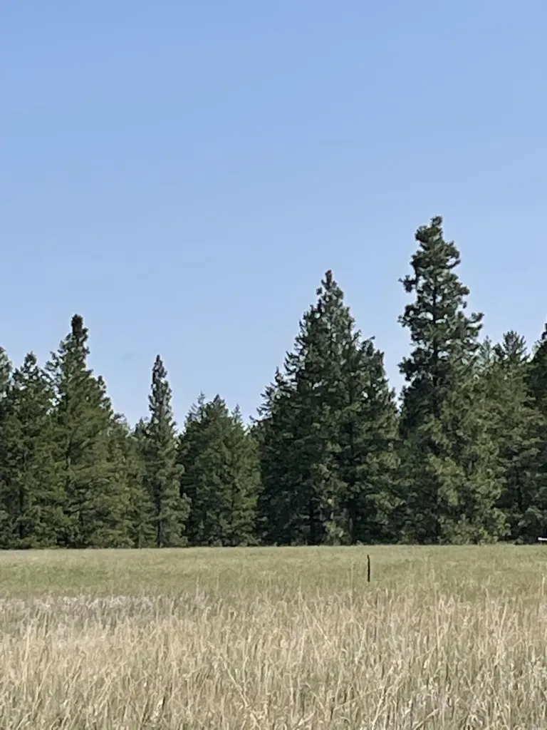 286 Wilderness Club Drive Eureka MT 59917