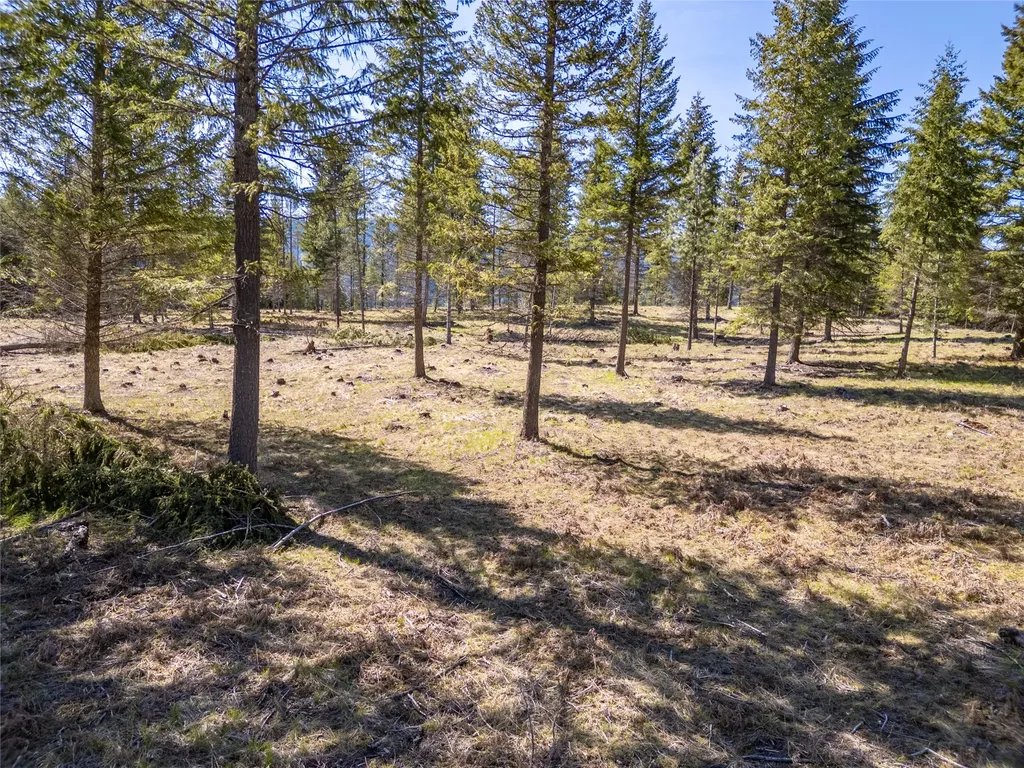 508 Chase Cutoff Road Troy MT 59935