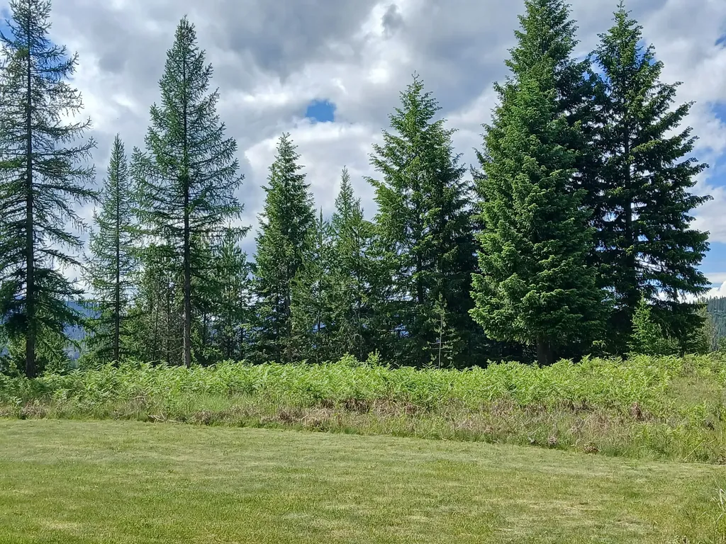 508 Chase Cutoff Road Troy MT 59935
