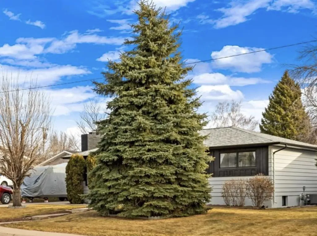 736 Skyline Drive NE Great Falls MT 59404