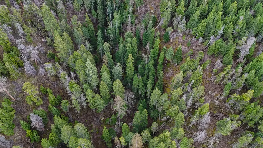N/a Highway 35 Polson MT 59860
