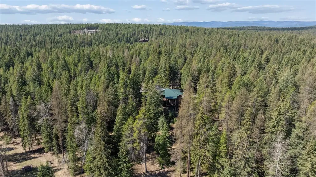 56 Crane Marsh Way Whitefish MT 59937