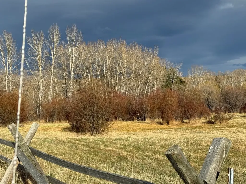 Nhn Us Highway 212 Red Lodge MT 59068