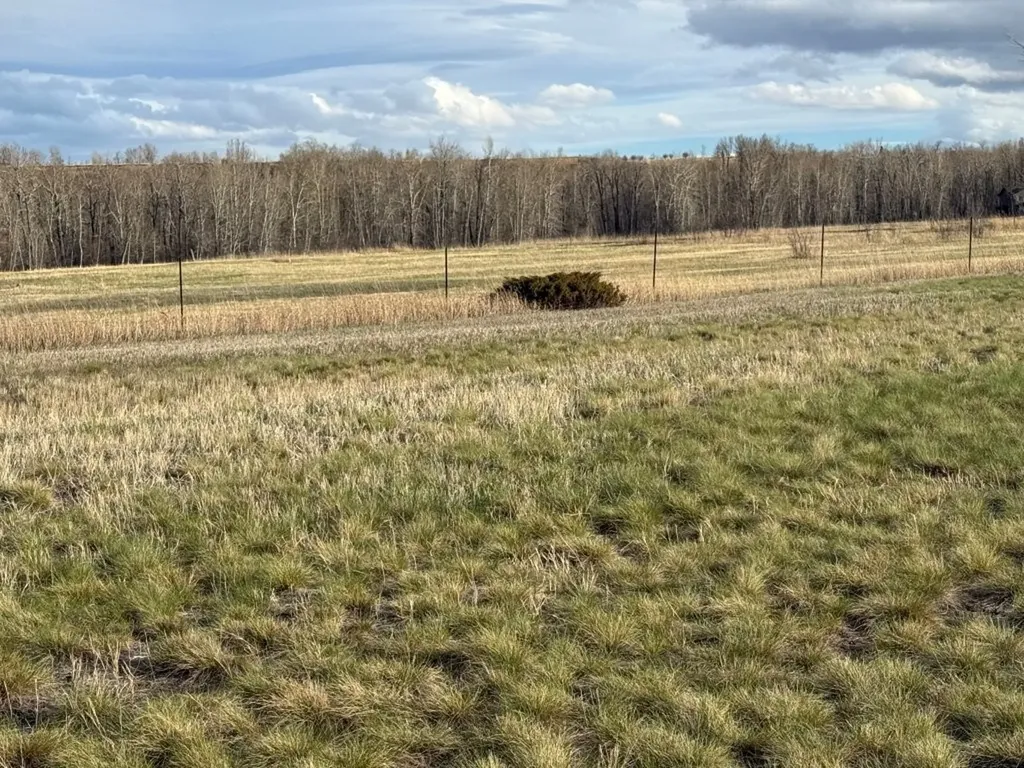 Nhn Us Highway 212 Red Lodge MT 59068