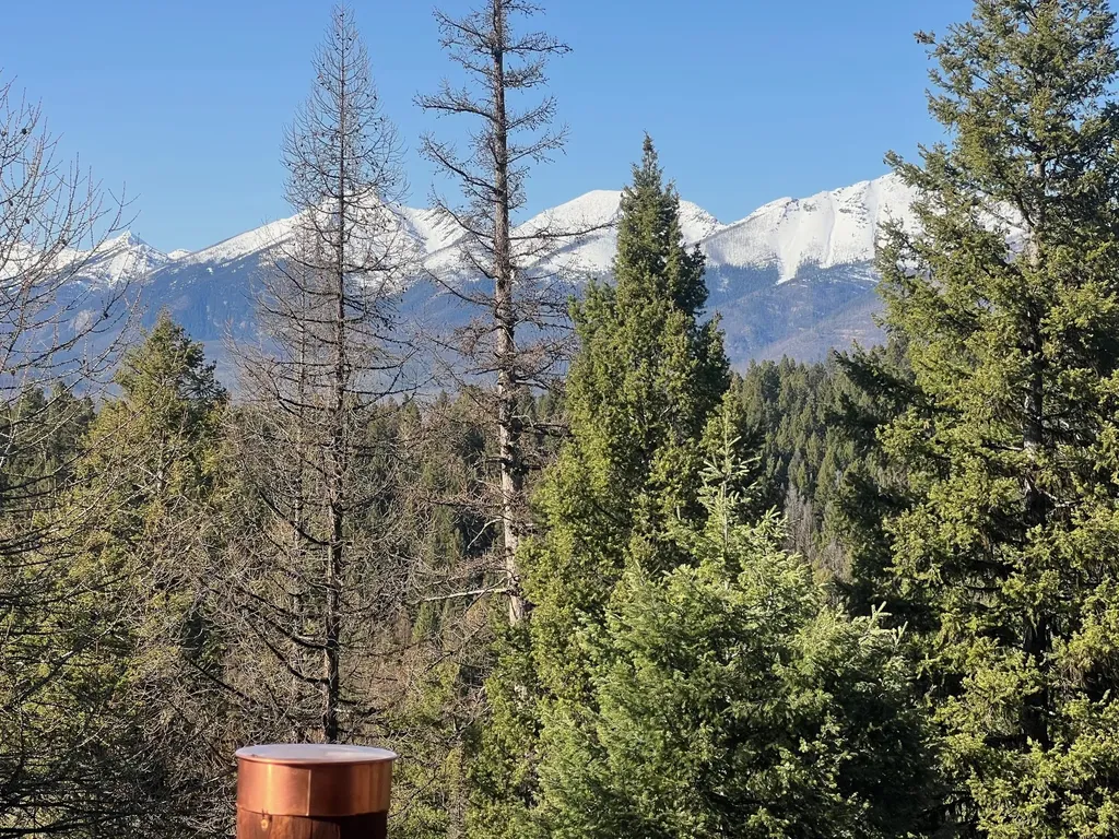 180 Elkhorn Road Seeley Lake MT 59868