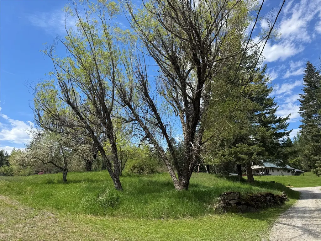 12 Gebhardt Lane Thompson Falls MT 59873