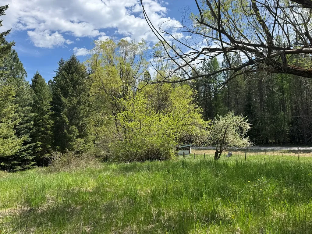 12 Gebhardt Lane Thompson Falls MT 59873