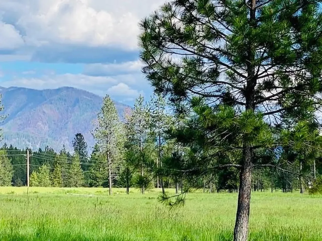 21 Cabinet View Trout Creek MT 59874