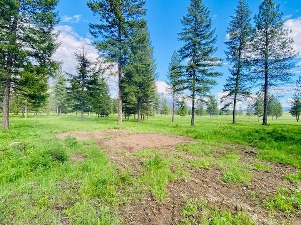 21 Cabinet View Trout Creek MT 59874