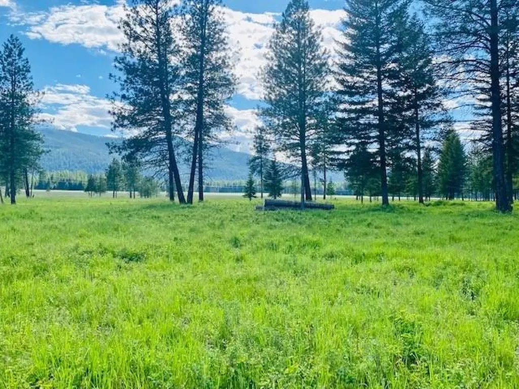 21 Cabinet View Trout Creek MT 59874