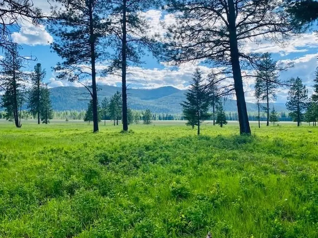 21 Cabinet View Trout Creek MT 59874