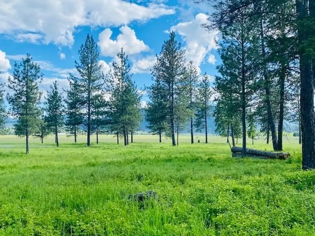 21 Cabinet View Trout Creek MT 59874