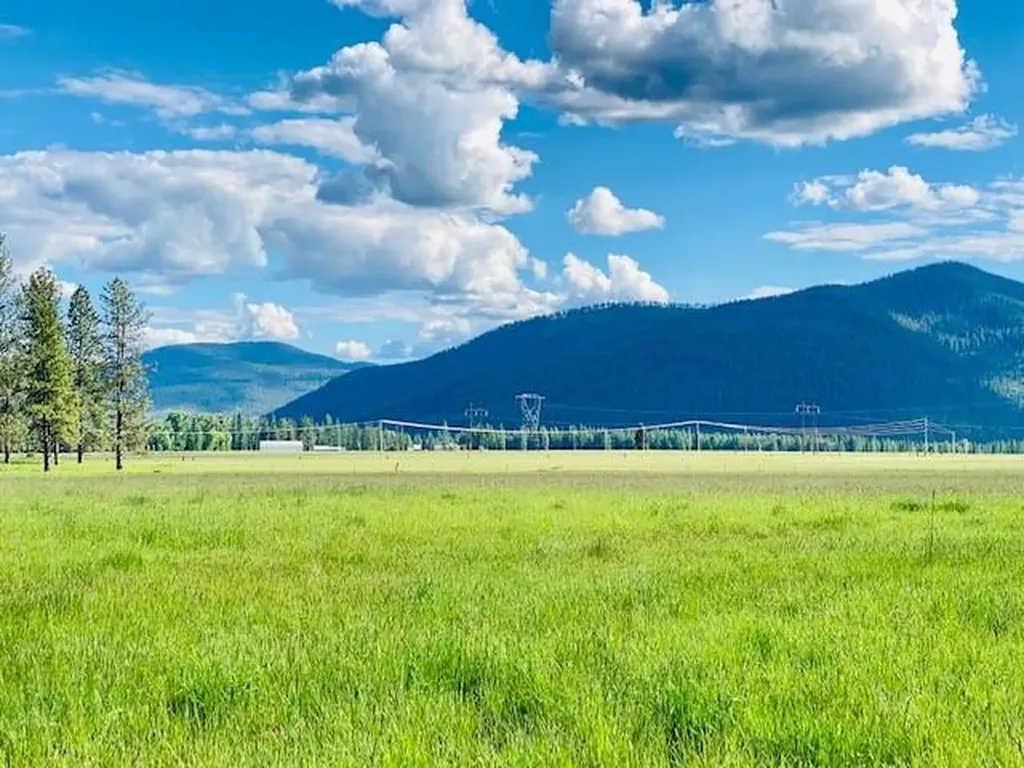21 Cabinet View Trout Creek MT 59874