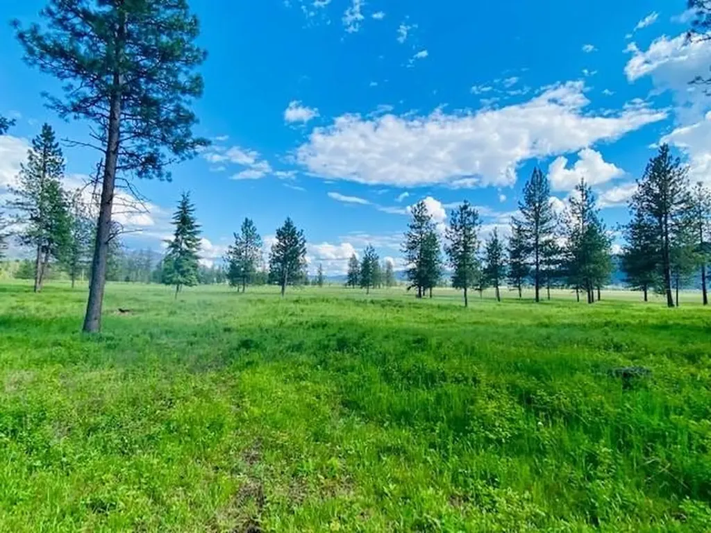 21 Cabinet View Trout Creek MT 59874
