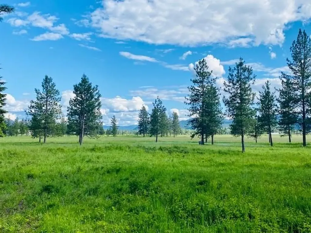 21 Cabinet View Trout Creek MT 59874