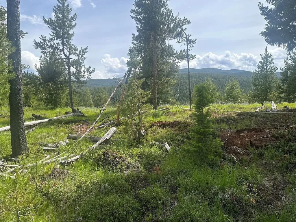 Nhn Herring Flats Road Anaconda MT 59711
