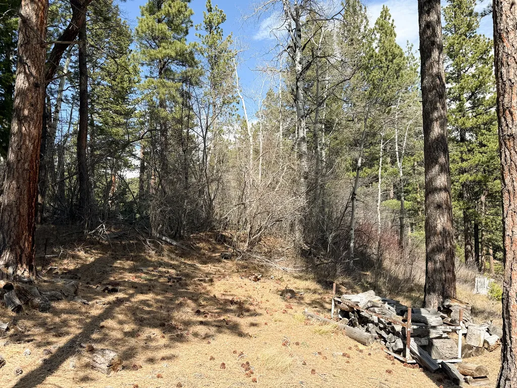 4220 Denton Gulch Road Wolf Creek MT 59648