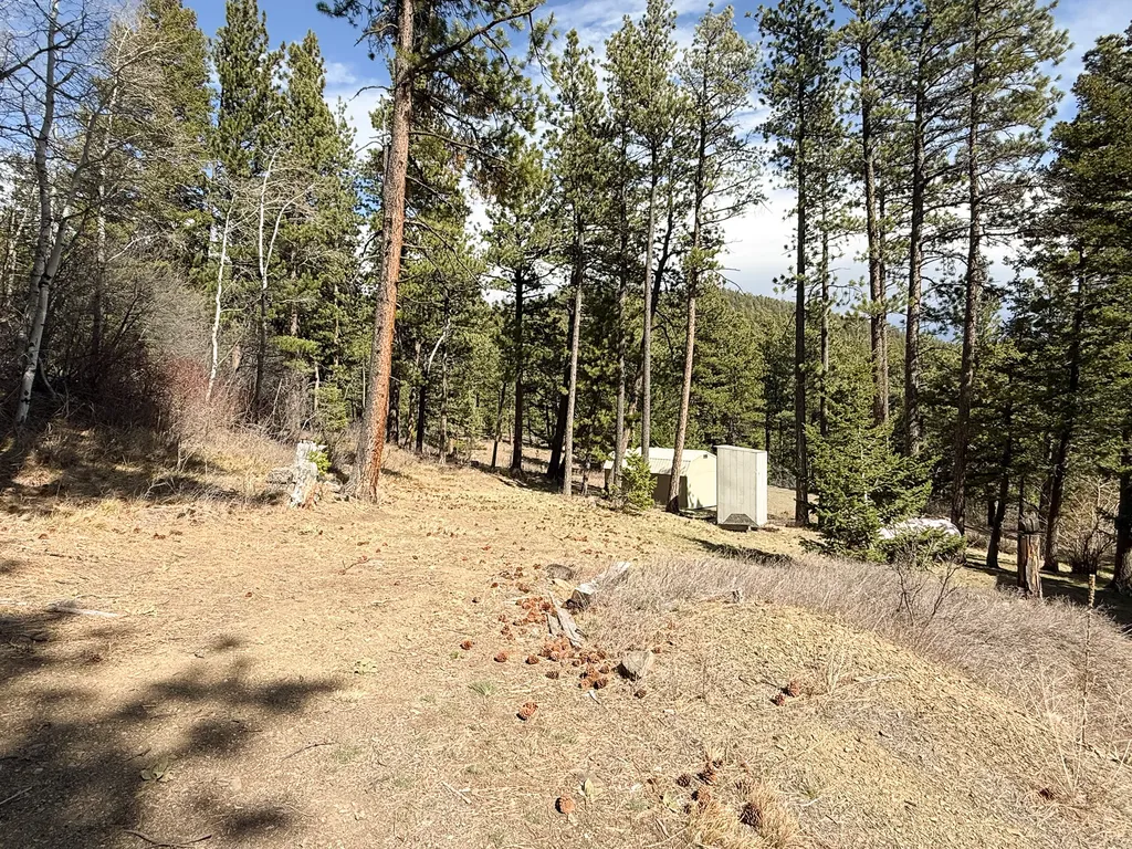 4220 Denton Gulch Road Wolf Creek MT 59648