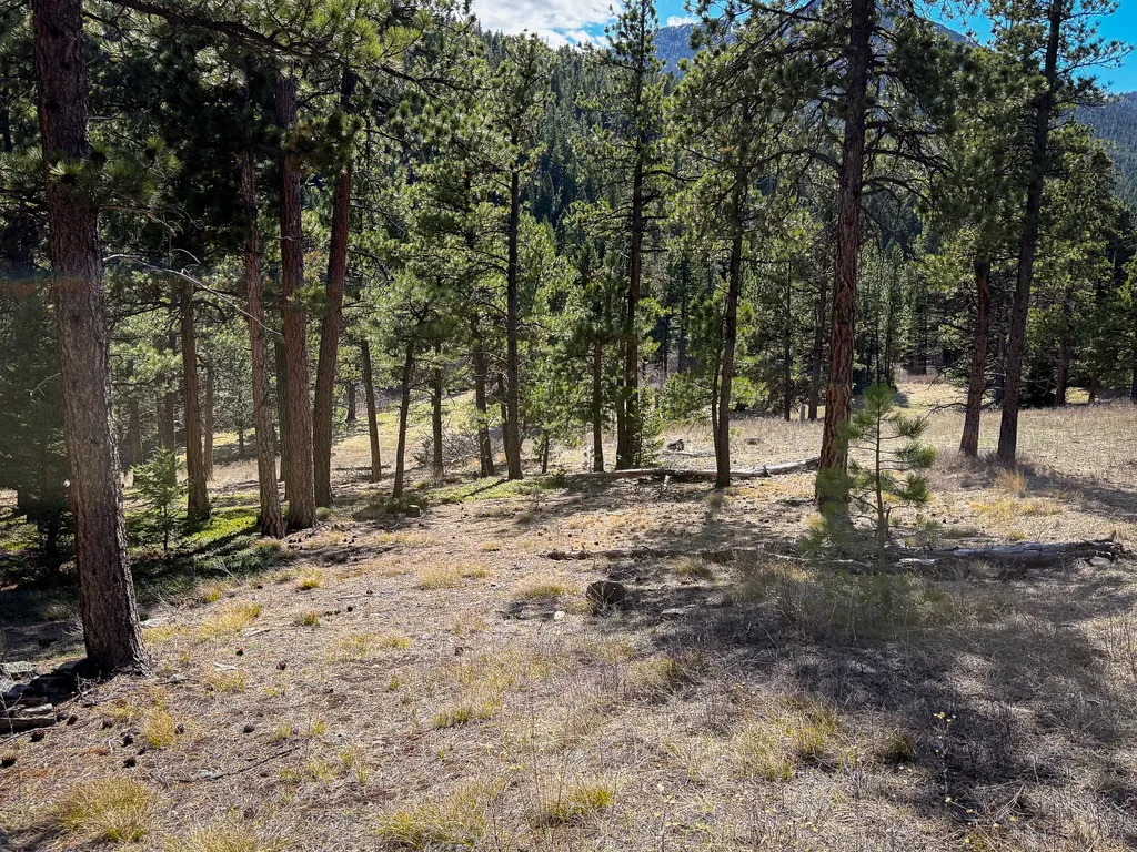 4220 Denton Gulch Road Wolf Creek MT 59648