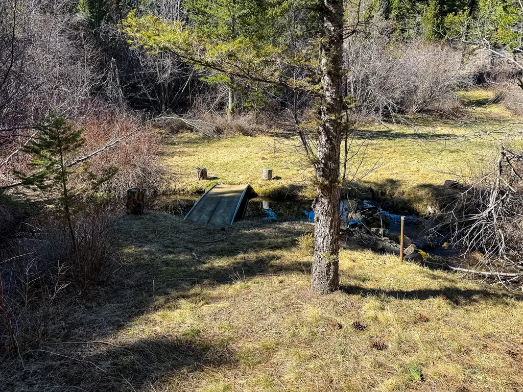 4220 Denton Gulch Road Wolf Creek MT 59648