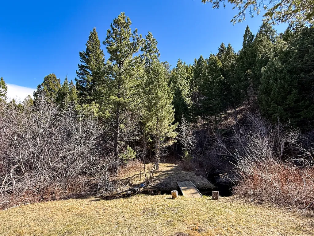 4220 Denton Gulch Road Wolf Creek MT 59648