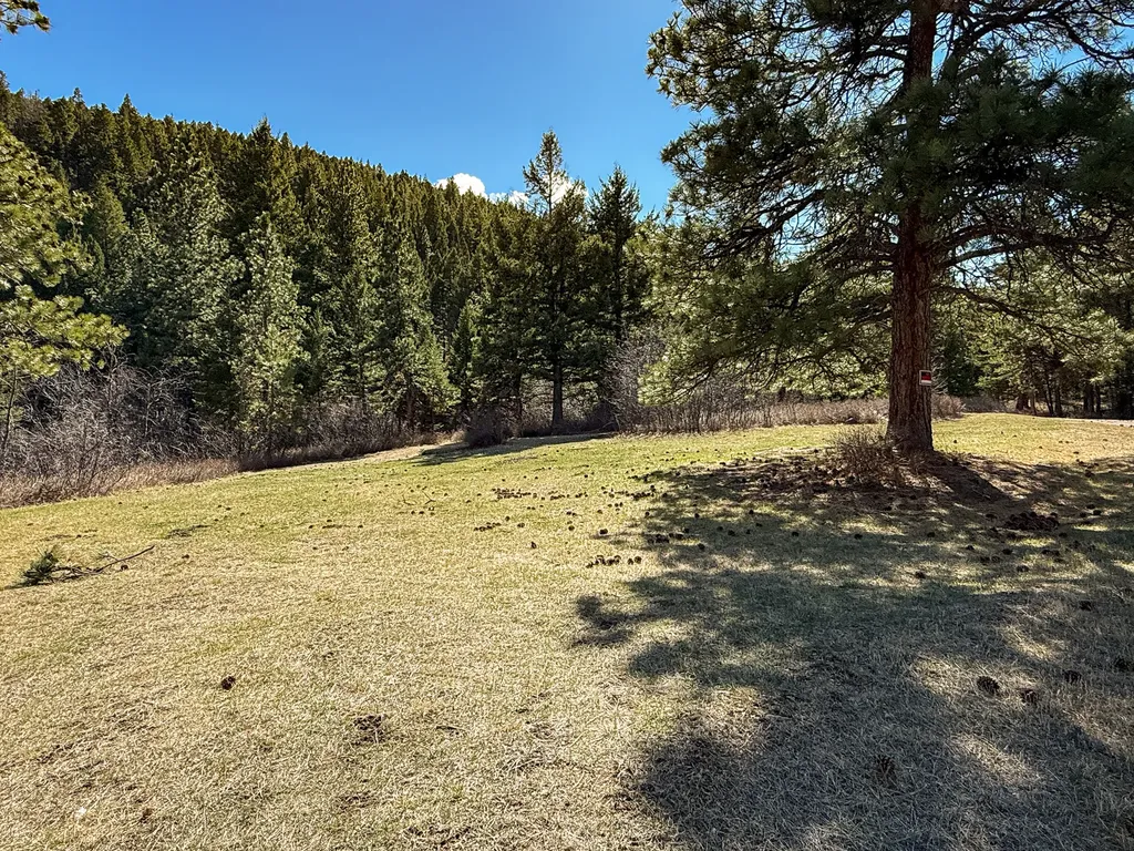 4220 Denton Gulch Road Wolf Creek MT 59648