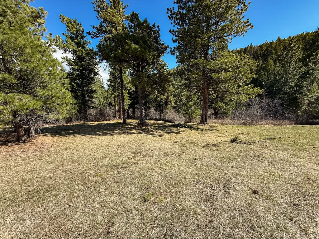 4220 Denton Gulch Road Wolf Creek MT 59648