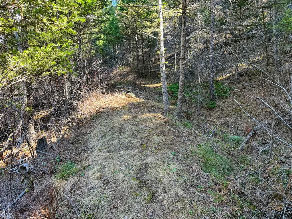 4220 Denton Gulch Road Wolf Creek MT 59648