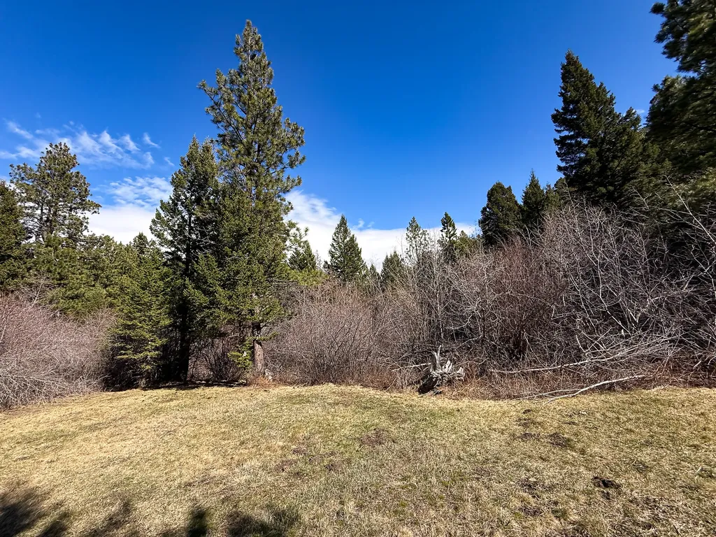 4220 Denton Gulch Road Wolf Creek MT 59648