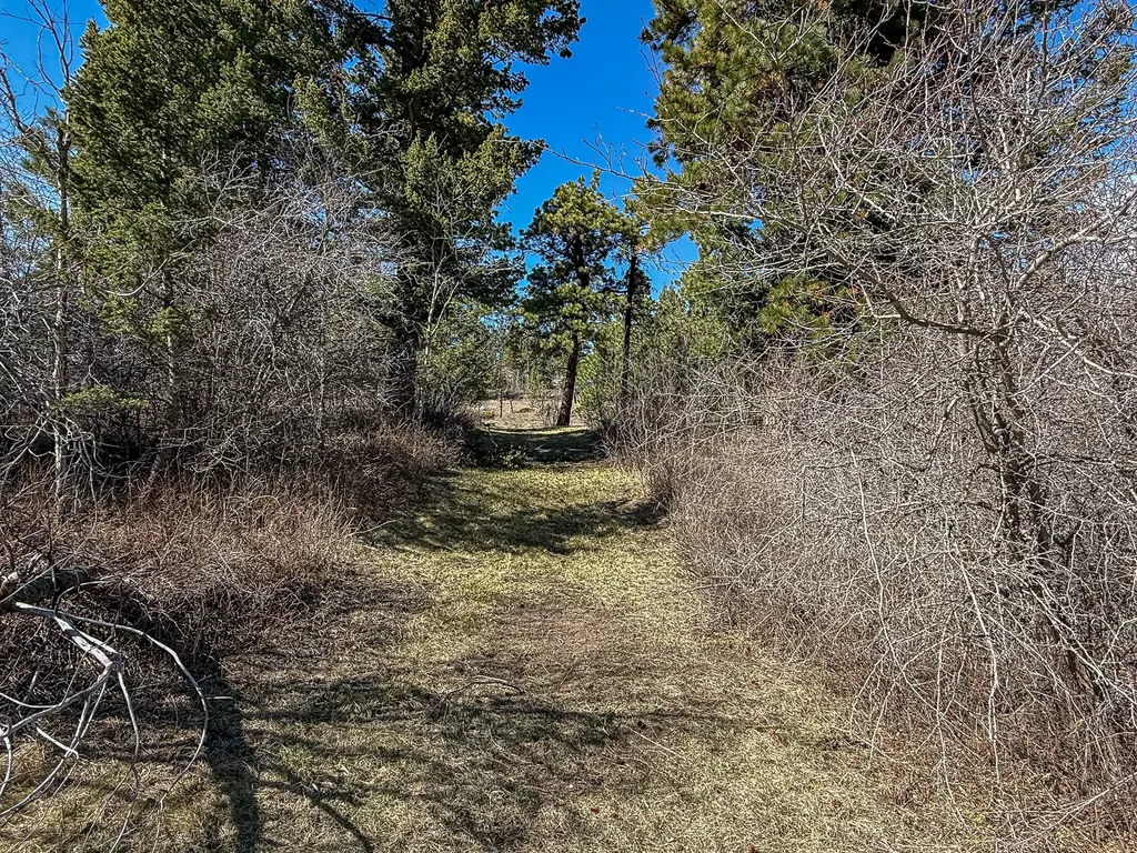 4220 Denton Gulch Road Wolf Creek MT 59648